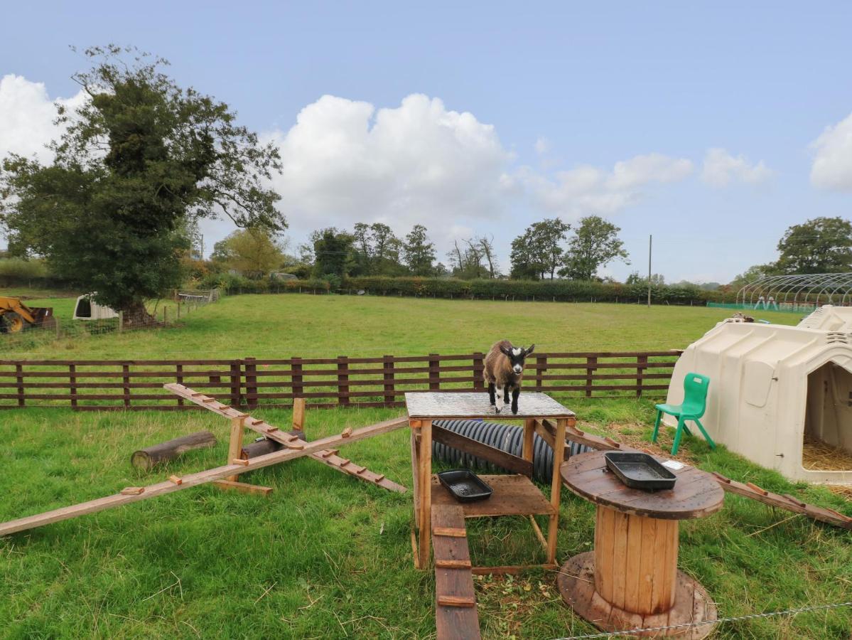 Villa The Pod At Bank House Farm Stafford Exterior foto